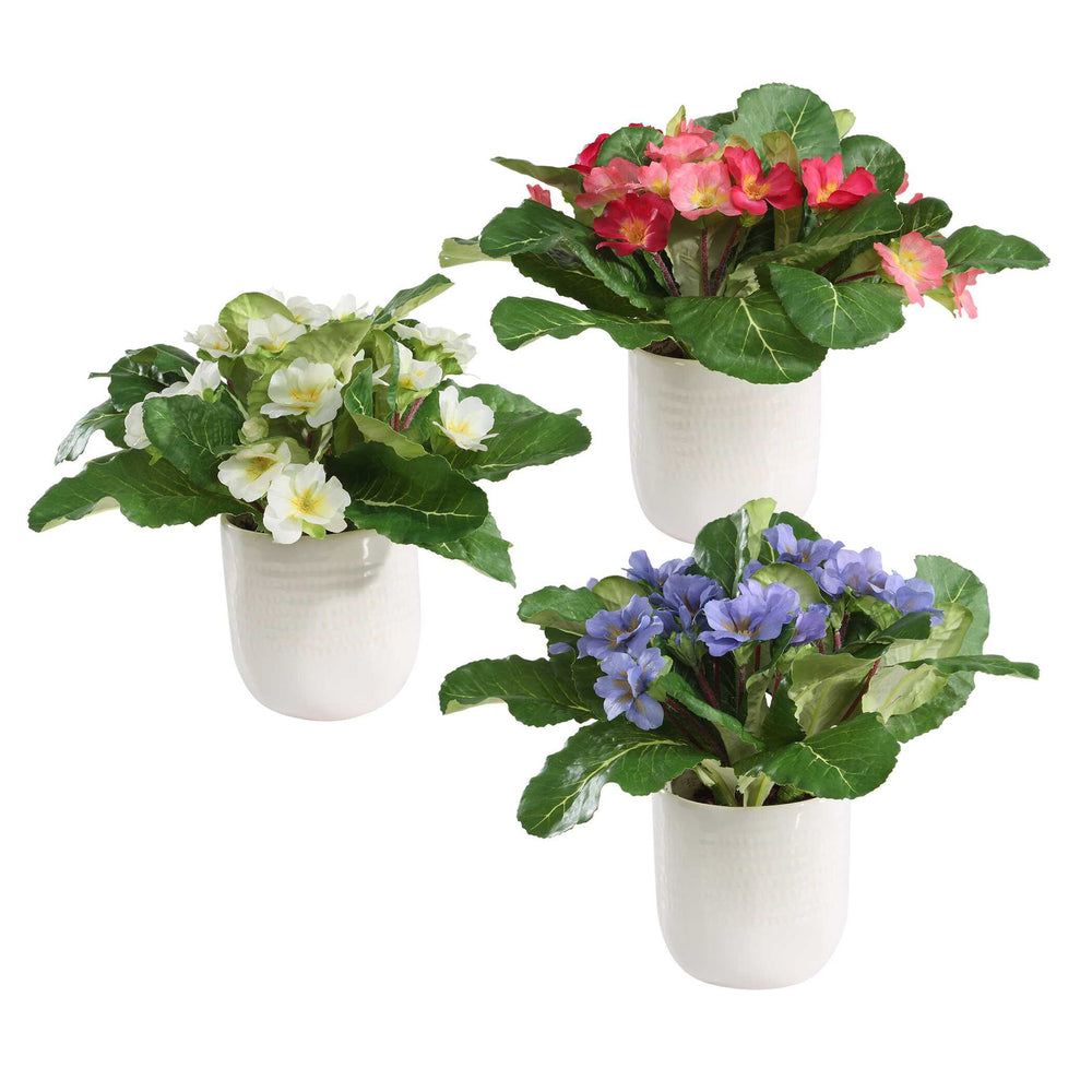 Trilogy Primrose - Accents In Vases (Set of 3) - Green / White