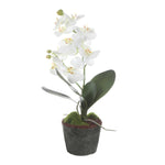 Laris - Orchid Drop-In - White