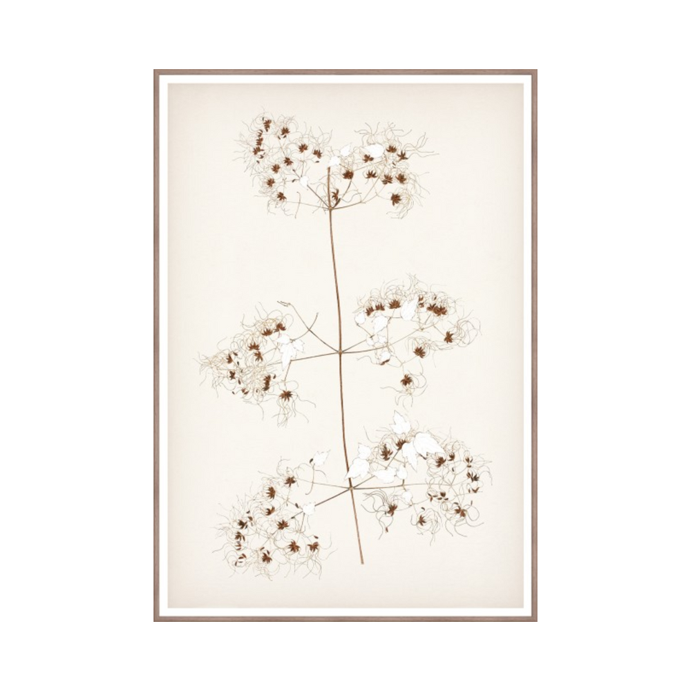 Botanical In Umber I