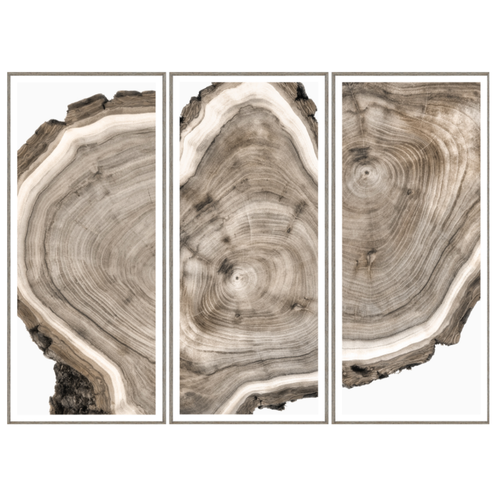 Live Edge Triptych