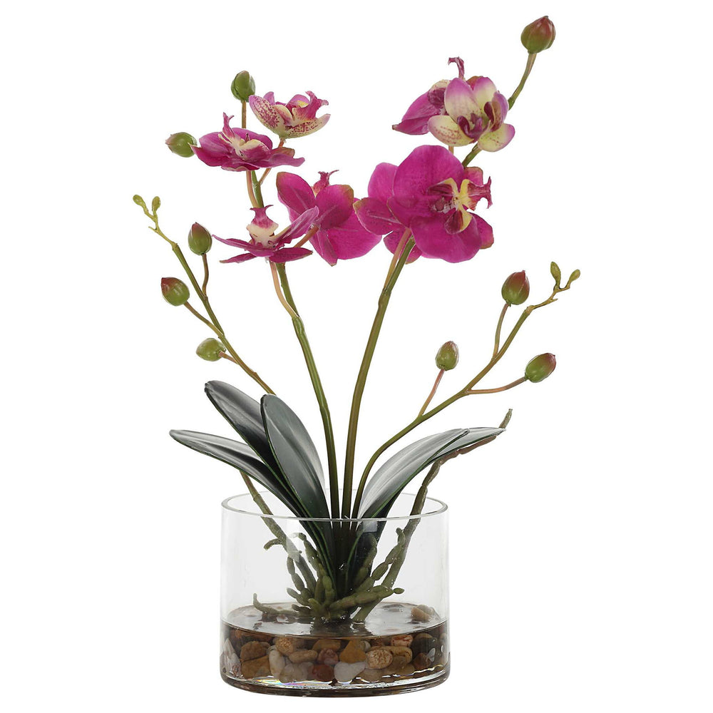 Glory Orchid - Fuchsia Orchid - Pearl Silver