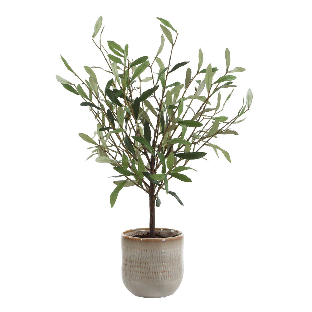 Solea Olive - Accent & Textured Vase - Brown / Green