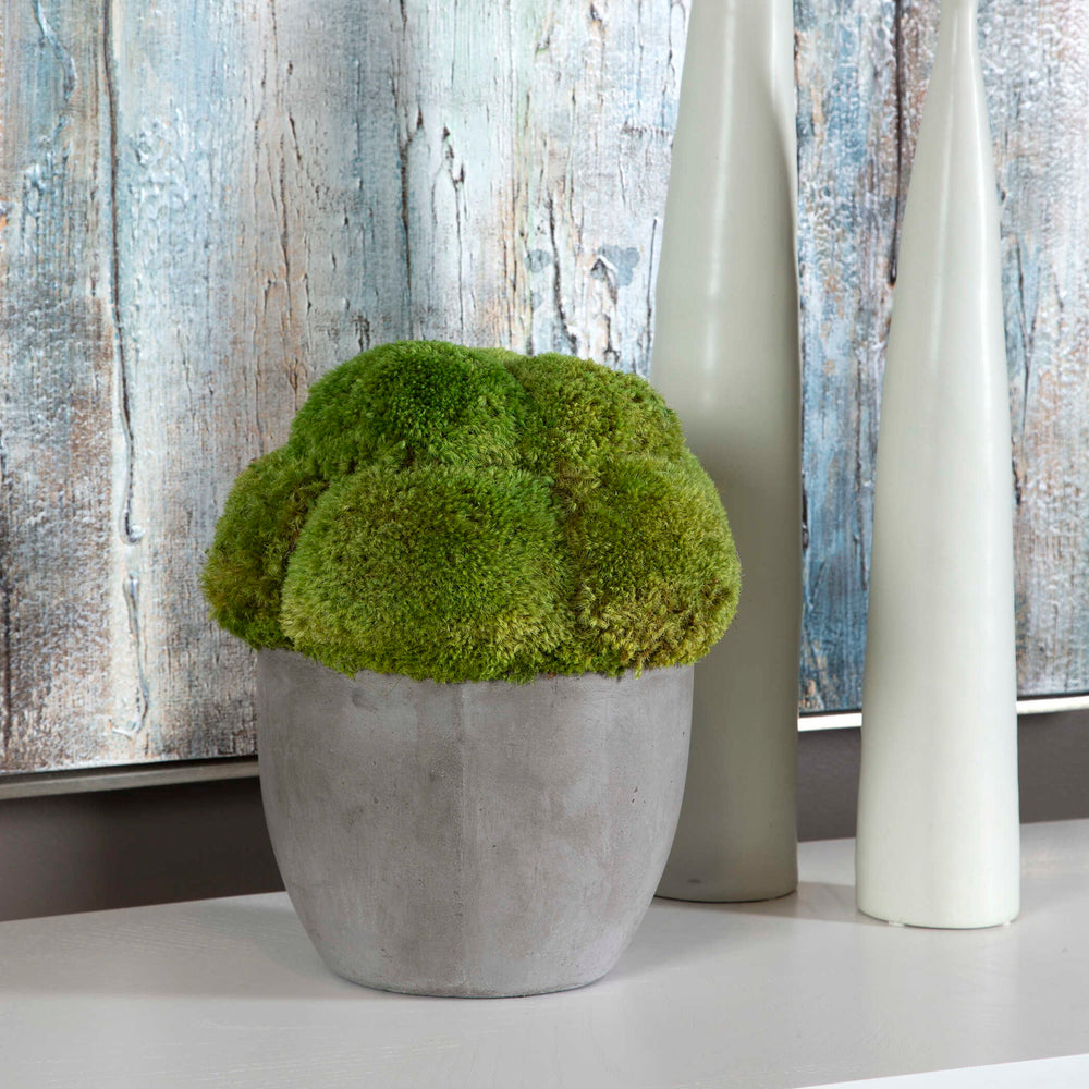 Cale - Moss Accent - Green