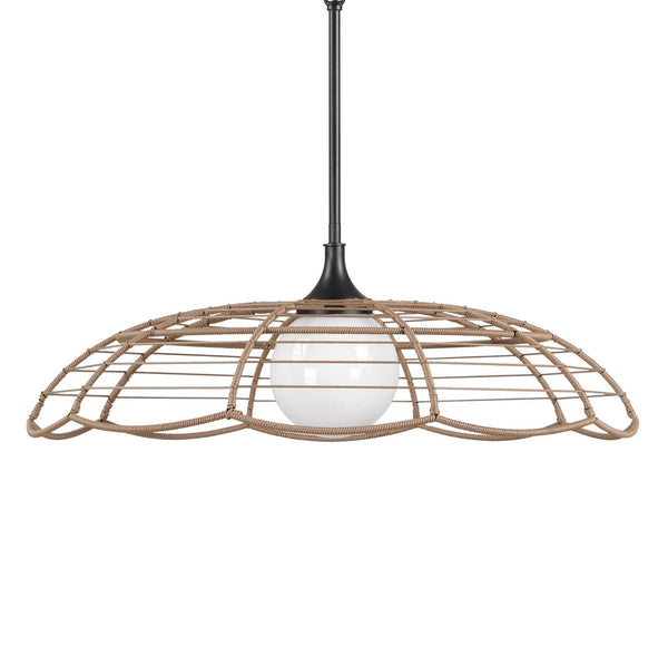 Lakeside - Indoor-Outdoor 1 Light Pendant - Black