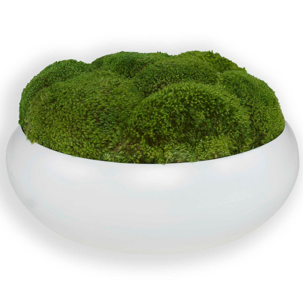 Gratia - Moss Centerpiece - Green / White