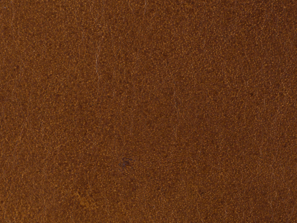 CC - Hamrick Club Chair - Light Brown