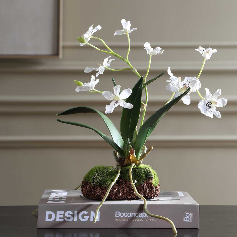 Clovis - Orchid Drop-In - White