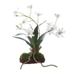 Planter