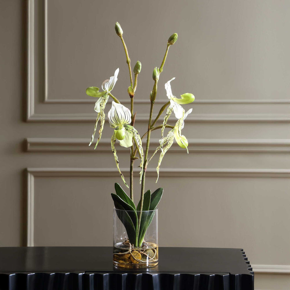 Lady - Slipper Orchid In Glass Vase - Green,White