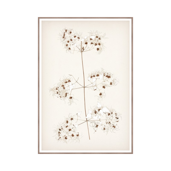 Botanical In Umber I