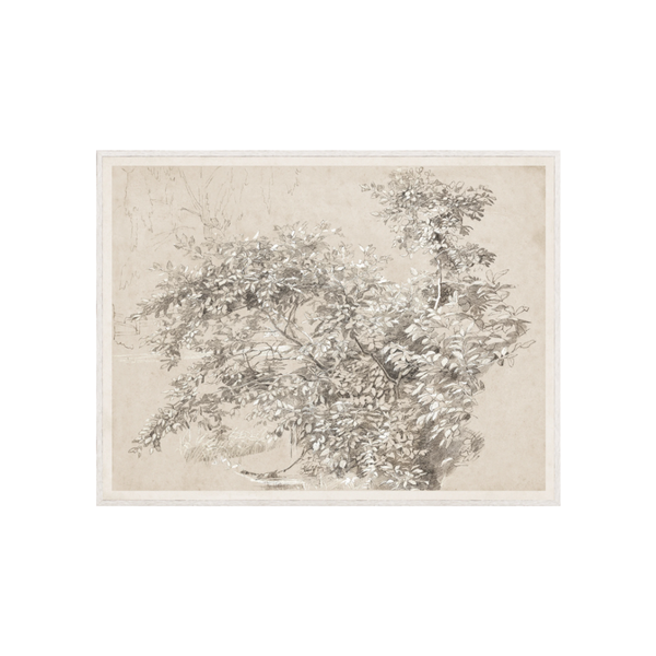 Graphite & Gouache Study C. 1890