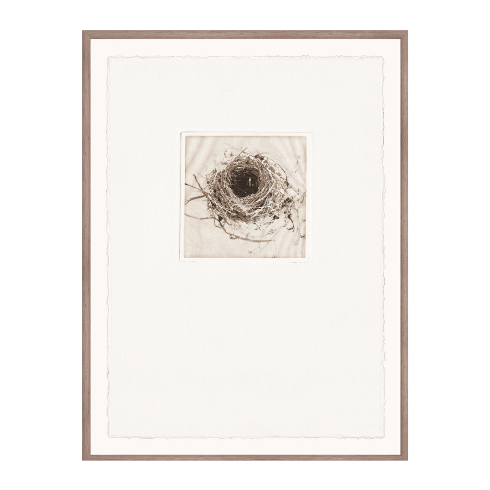 Intaglio Nests III