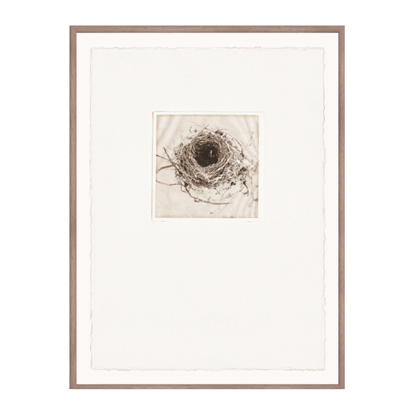 Intaglio Nests III