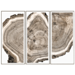 Home Accents