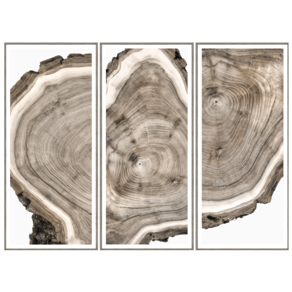 Live Edge Triptych