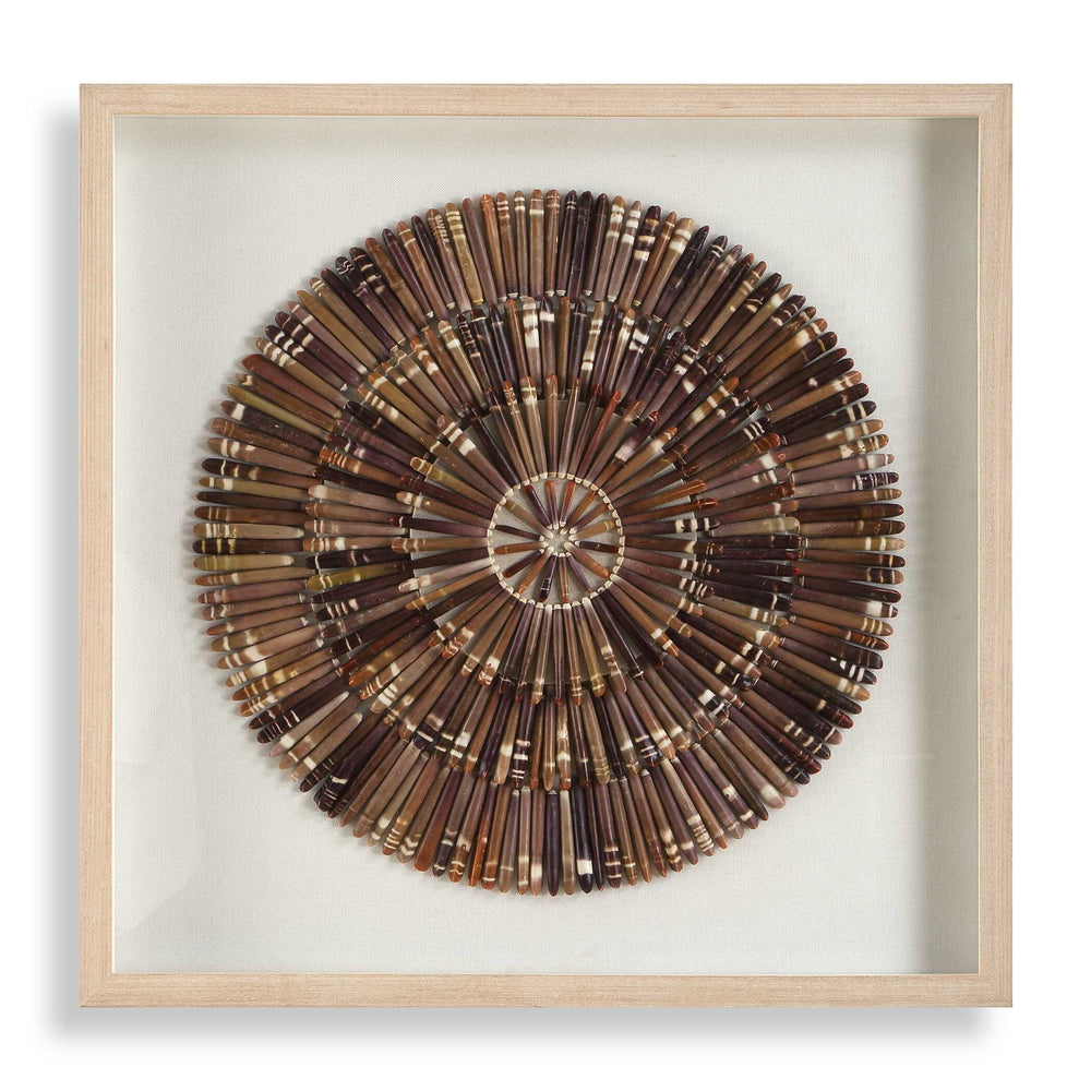 Tiger Sea Urchin - Shadow Box - Brown