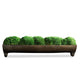 Green / 17"W x 3"D x 5"H