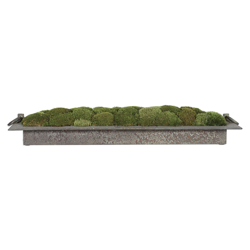 Heath - Preserved Moss Tray - Gray / Green