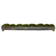 Green / 34"W x 3"D x 5"H