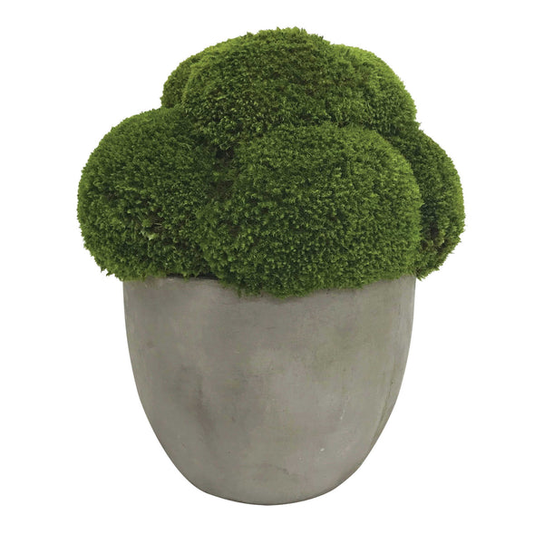 Cale - Moss Accent - Green