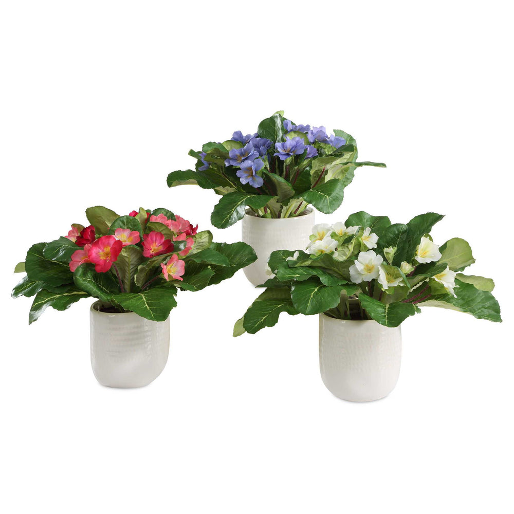 Trilogy Primrose - Accents In Vases (Set of 3) - Green / White